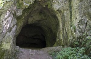 Cómo prospera la vida en la 'cueva venenosa' más tóxica del mundo, no se descubre durante más de 5 millones de años