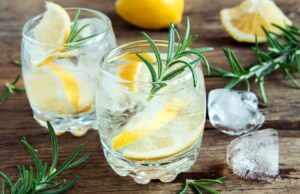 Las mejores ginebras del mundo para la ginebra y tónica perfecta