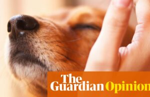 Muchos jóvenes encuentran seguridad en el mundo relajante de los videos de ASMR, imaginen si pudiéramos darles eso en el mundo real | Emma Beddington