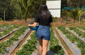 Conoce al actor que fue finalista de Miss India, hija del ex oficial de Navy, debutó con Flop Film, trabajó con Akshay Kumar, Shahid Kapoor y ahora …