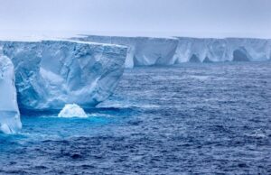 El iceberg más grande del mundo corre en el sur de Georgia