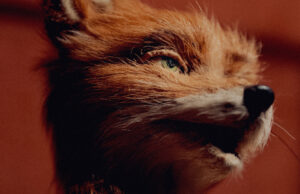 En el mundo de Wes Anderson, se trata de los detalles