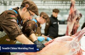 ¿Puede España forzar ganar en la 'Copa Mundial de Butchery'? Los debutantes afilaran cuchillos y habilidades