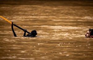 Lo que aprendí hablando mono araña