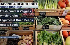 El experto en salud proporciona consejos para un estilo de vida digestivo más saludable