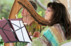 Experience Irlanda en el Museo de Instrumentos Musicales del 15 al 16 de marzo | Artes y entretenimiento