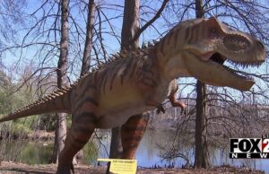 Nueva exhibición 'Zoorassic World' para abrir en Tulsa Zoo | Noticias