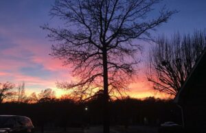 Las mejores tomas de nuestros lectores del 14 al 20 de marzo de 2025 | Estilo de vida