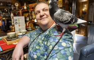 La mujer toma paloma de mascotas donde quiera que vaya