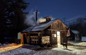 NH Maple Weekend, Henry Winkler, Día de San Patricio: cosas que hacer