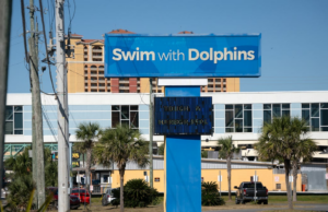 Las principales consecuencias en el Gulf World Marine Park en Panama City Beach, Florida