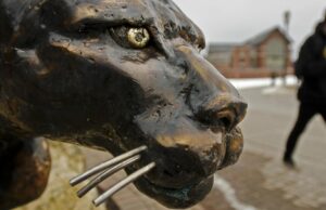 Explicando la mascota de catamount para los deportes UVM
