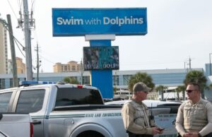 Gulf World Marine Park se investiga después de la protesta pública