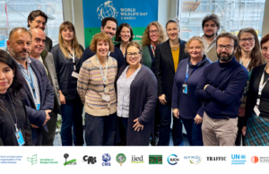 Declaración conjunta de la Asociación Colaborativa sobre Gestión Sostenible de Vida Silvestre para el Día Mundial de la Vida Silvestre 2025