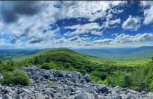 Hawk Mountain Summer Nature Camps abren un mundo de descubrimiento a los estudiantes jóvenes: la voz de los ciudadanos de Wilkes-Barre