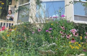 ¿Qué te gusta de dónde vives? 14 lectores comparten …