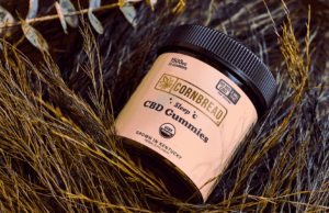 Diga adiós a las noches de insomnio con gommies de sueño CBD de cáñamo de pan de maíz