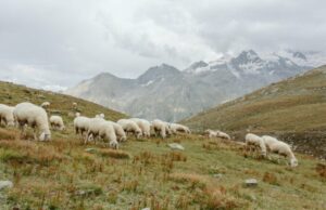 Que tengas un hermoso fin de semana. | Taza de Jo