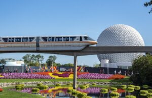 ¿Qué pasó en el parque de Orlando? – Hollywood Life