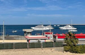 Actualizaciones sobre la situación – Hollywood Life