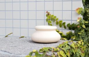 Desbloquear los secretos de la salud holística: un camino hacia la vitalidad duradera