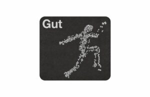 Una filosofía sustenta la práctica ecléctica del diseñador Ji Park: “Joder y descubrir”