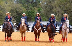 Roundup de caballos y héroes del Instituto de Investigación McCormick ofrece un emocionante entretenimiento de rodeo mientras apoya a veteranos y programas de necesidades especiales