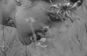 Disfrute del mundo soñador de una fábrica de chocolate en los bosques lituanos