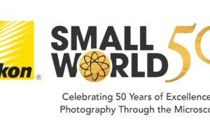 Nikon anuncia que está aceptando imágenes para su competencia de fotos y películas de Nikon Small World para su Competencia de Video Nikon Small World In Motion