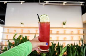 5 sabrosos tequila y cócteles mezcales