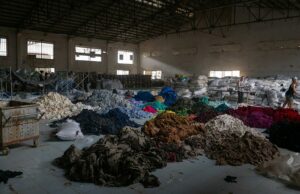 ¿La sostenibilidad no tiene sentido? Minoristas y Exper …