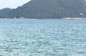 Siddhant Chaturvedi y Ananya Panday filtraron la imagen chispas de rumores del nuevo proyecto: Bollywood News