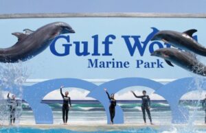 Representante estatal Griff Griffitts 'preocupado' sobre el parque marino mundial del Golfo