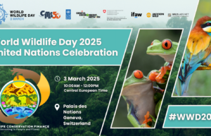 ¡Únete al Día Mundial de la Vida Silvestre 2025 Celebración de las Naciones Unidas!