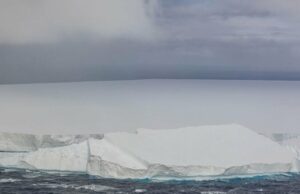 El iceberg más grande del mundo, en el curso de colisión con isla de pingüinos remotos, se encallan
