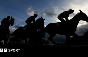 Doping de genes: caballos de carreras que serán probados por la autoridad británica de caballos