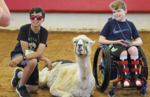 La llama más antigua del mundo disfruta reconfortante de niños con enfermedades crónicas en Carolina del Norte