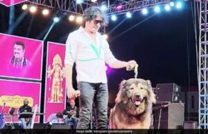 Bengaluru Man compra el “Wolfdog” más caro del mundo por Rs 50 millones de rupias