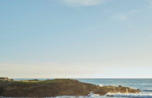 7 lecciones de un chef que cambiará la forma en que cocina