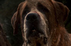 El próximo remake de Stephen King de Netflix acaba de recibir un director sorprendente