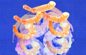 ¿Qué hace rebotar camarones veganos? La ciencia detrás de la comida
