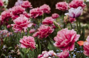 Que tengas un hermoso fin de semana. | Taza de Jo