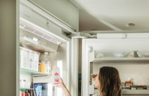 Las mejores opciones para el gusto, la nutrición y el uso