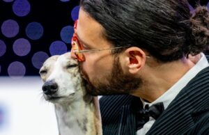 Crufts: Whippet italiano llamado Miuccia es el mejor perro de la exhibición de perros más grande del mundo