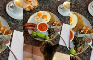 La sorprendente forma en que el desayuno puede cambiar sus hábitos alimenticios