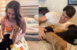 Padres para los padres Sidharth Malhotra y Kiara Advani juegan con cachorros, ver fotos