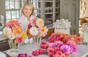 Relanzos de marca de estilo de vida de celebridades: Martha Stewart Relanzes