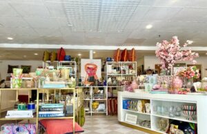 Conceptos minoristas de estilo de vida centrado en las mujeres: dinero de leche