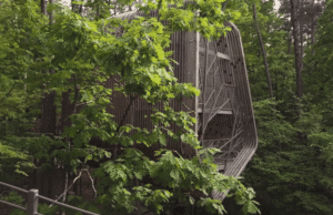 Los visitantes se comunican con el dosel del bosque en una casa del árbol de cuatro pisos en Arkansas-Colosal