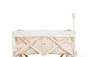 Carrito de playa de negocios y placer